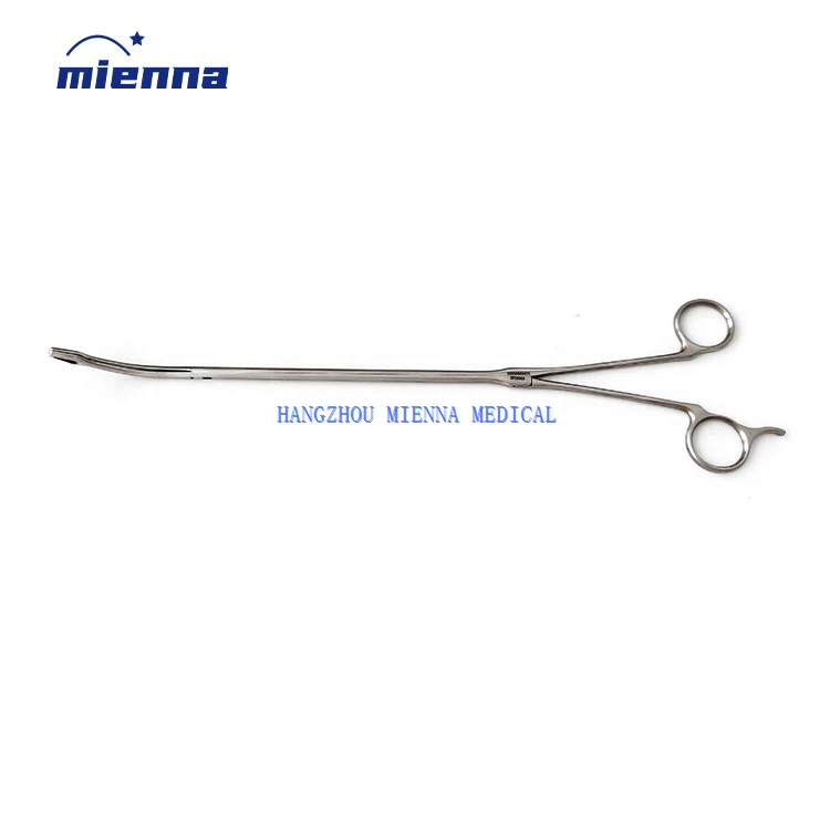 IMG20220808154312 IMG20220808154312